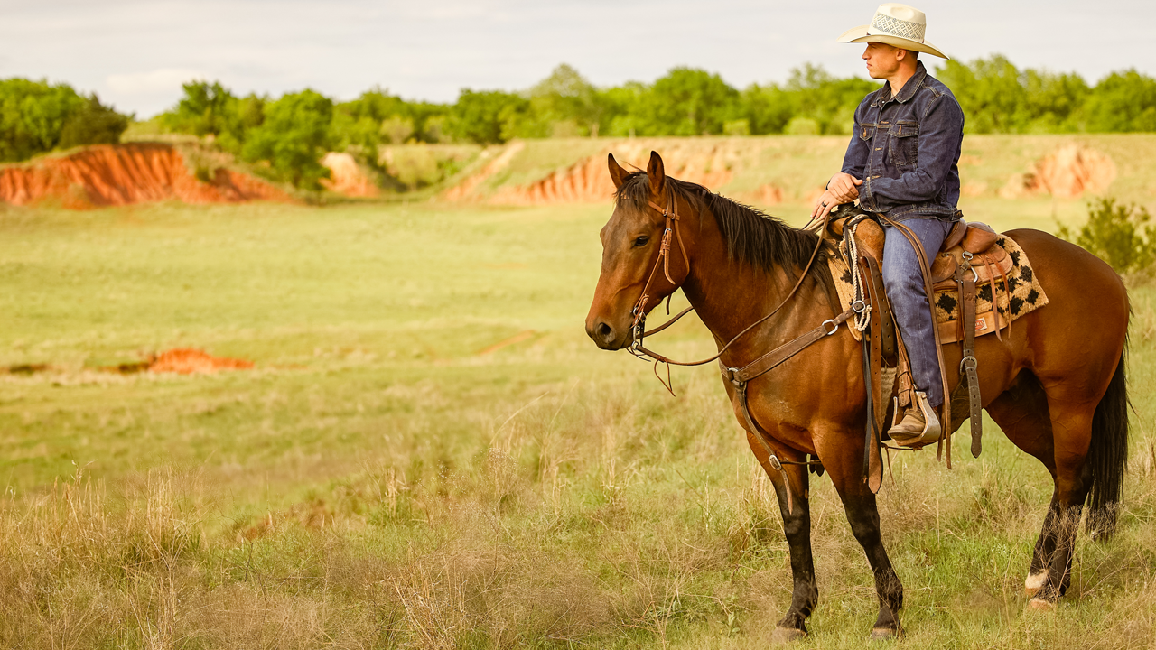 Cody a caballo en el campo